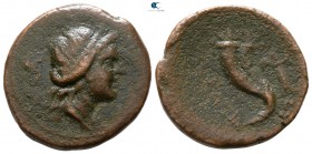 Lucania. Paestum after 211 BC. Triens AE