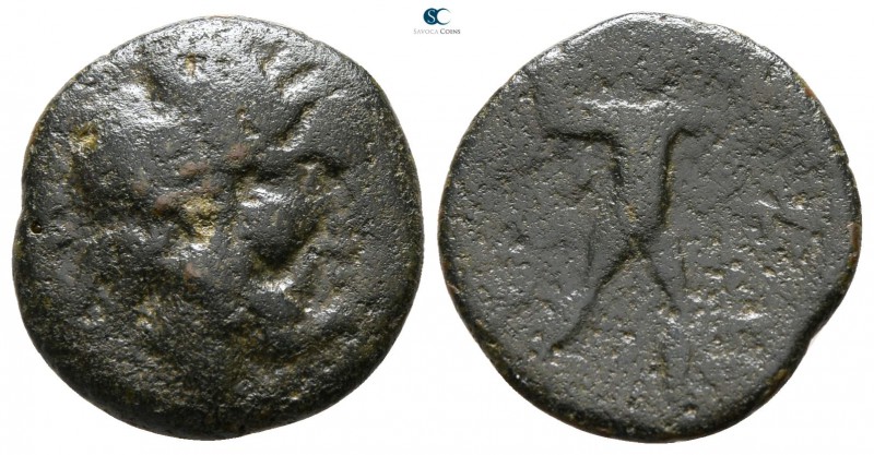 Bruttium. Petelia circa 220-200 BC. 
Quadrans Æ

15 mm., 2.37 g.



fine