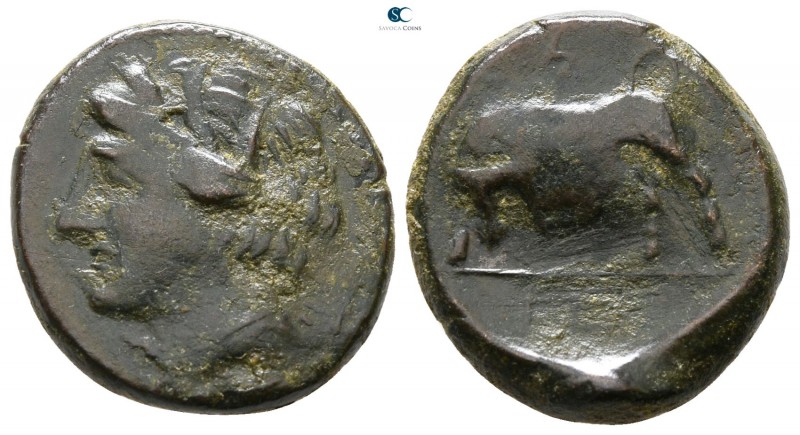 Sicily. Syracuse. Hieron II 275-215 BC. 
Bronze Æ

17 mm., 4.54 g.



nea...