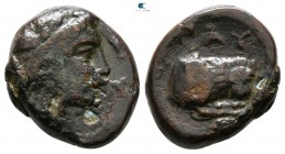 Kings of Macedon. Aigai. Pausanias 395-393 BC. Bronze Æ