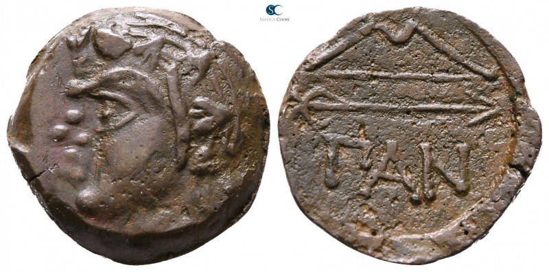 The Tauric Chersonese. Pantikapaion circa 304-250 BC. 
Bronze Æ

17 mm., 3.65...
