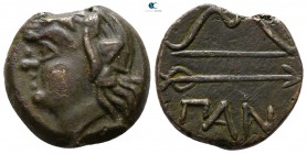 The Tauric Chersonese. Pantikapaion circa 304-250 BC. Bronze Æ