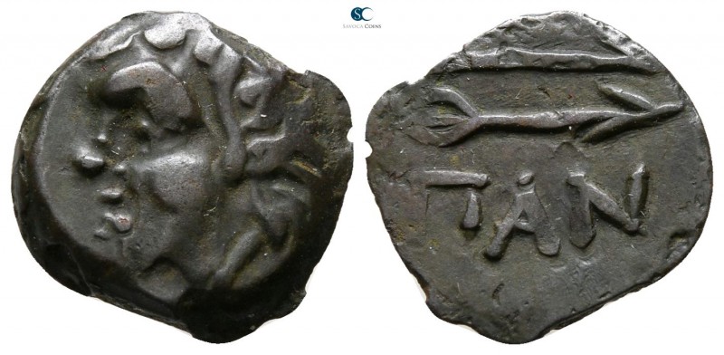The Tauric Chersonese. Pantikapaion circa 304-250 BC. 
Bronze Æ

13 mm., 1.58...