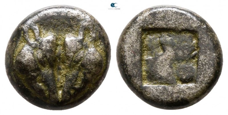 Lesbos. Uncertain mint 500-450 BC. 
Diobol BI

9 mm., 1.23 g.



very fin...