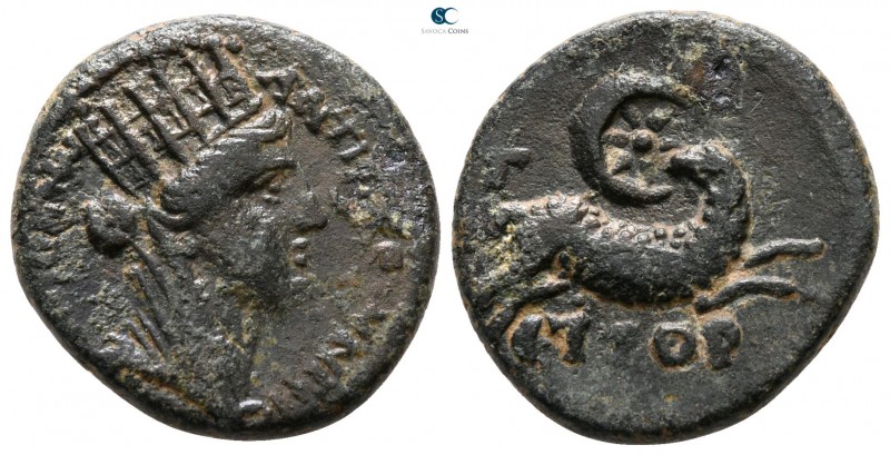 Seleucis and Pieria. Antioch. Pseudo-autonomous issue AD 128-129. 
Bronze Æ

...