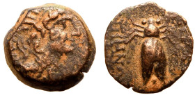 Seleukid Kingdom, Antiochos VIII 'Epiphanes' (Grypos) Æ14
