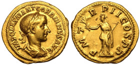 Gordian III AV Aureus