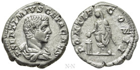 GETA (Caesar, 198-209). Denarius. Rome