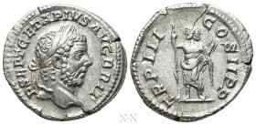 GETA (209-211). Denarius. Rome