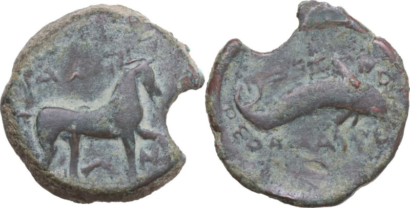 Greek Italy. Northern Apulia, Salapia. AE 22.5 mm. c. 275-250 BC. Obv. ΣAΛAΠINΩN...