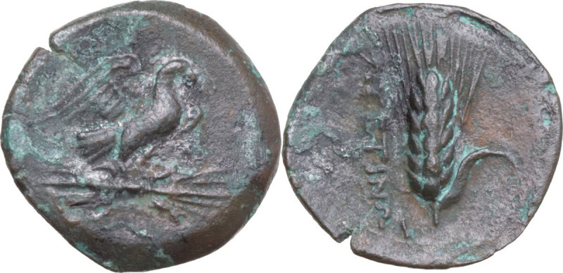 Greek Italy. Southern Apulia, Azetium. AE 18 mm. c. 300-275 BC. Obv. Eagle stand...