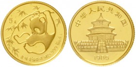 China
Volksrepublik, seit 1949
5 Yuan GOLD 1985 Panda, an Bambuszweig turnend. 1/20 Unze Feingold. Verschweißt.
Stempelglanz