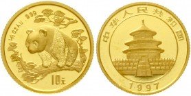 China
Volksrepublik, seit 1949
10 Yuan GOLD 1997. Panda nach links im Wald. 1/10 Unze Feingold. Large Date, verschweißt.
Stempelglanz