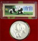 China
Volksrepublik, seit 1949
Set: 10 Yuan Panda Silber 2004. Pandamutter bei der Liebkosung ihres Nachwuchses. Und 50 g. Silberbarren mit Farbappl...