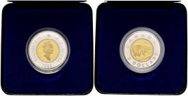 Canada - 2 Dollars 1996 - Proof - Bimetallico: centro in cupralluminio con anello in nickel - KM#270 - in cofanetto (chiusure del cofanetto danneggiat...