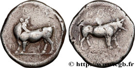 LUCANIA - LAUS
Type : Statère 
Date : c. 480-460 AC. 
Mint name / Town : Lucanie, Laus 
Metal : silver 
Diameter : 21  mm
Orientation dies : 12  h.
We...