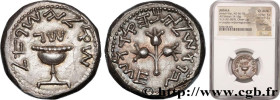 JUDAEA - FIRST REVOLT
Type : Shekel 
Date : an 3 
Mint name / Town : Jérusalem 
Metal : silver 
Diameter : 22,5  mm
Orientation dies : 12  h.
Weight :...