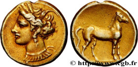 ZEUGITANA - CARTHAGE
Type : Statère 
Date : c. 310-290 AC. 
Mint name / Town : Carthage, Zeugitane 
Metal : electrum 
Millesimal fineness : 550  ‰
Dia...