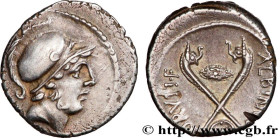 POSTUMIA
Type : Denier 
Date : 48 AC. 
Mint name / Town : Rome 
Metal : silver 
Millesimal fineness : 950  ‰
Diameter : 18,5  mm
Orientation dies : 11...