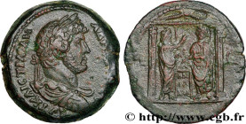 HADRIAN
Type : Drachme 
Date : an 17 
Mint name / Town : Alexandrie, Égypte 
Metal : copper 
Diameter : 33  mm
Orientation dies : 1  h.
Weight : 29,29...