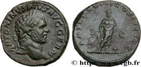CARACALLA
Type : As 
Date : 215 
Mint name / Town : Rome 
Metal : copper 
Diameter : 24,5  mm
Orientation dies : 6  h.
Weight : 10,58  g.
Rarity : R1 ...