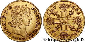 LOUIS XIII
Type : Louis d'or aux huit L (effigie de Jean Warin) 
Date : 1640 
Mint name / Town : Paris, Monnaie du Louvre 
Quantity minted : 533238 
M...