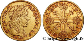 LOUIS XIII
Type : Louis d'or aux huit L (effigie de Jean Warin) 
Date : 1641 
Mint name / Town : Paris, Monnaie du Louvre 
Quantity minted : 2242865 
...