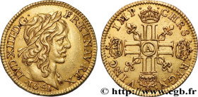 LOUIS XIII
Type : Demi-louis d'or aux huit L (effigie de Jean Warin) 
Date : 1641 
Mint name / Town : Paris 
Quantity minted : 734400 
Metal : gold 
M...