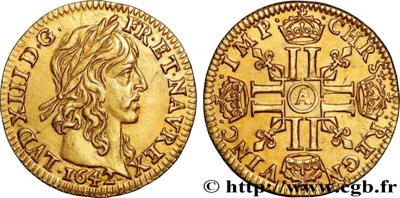 LOUIS XIII
Type : Demi-louis d'or aux huit L (effigie de Jean Warin) 
Date : 164...