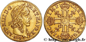 LOUIS XIII
Type : Demi-louis d'or aux huit L (effigie de Jean Warin) 
Date : 1642 
Mint name / Town : Paris 
Quantity minted : 181295 
Metal : gold 
M...