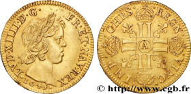 LOUIS XIV "THE SUN KING"
Type : Louis d'or aux huit L, portrait à la mèche courte 
Date : 1645 
Mint name / Town : Paris, Monnaie du Louvre 
Quantity ...