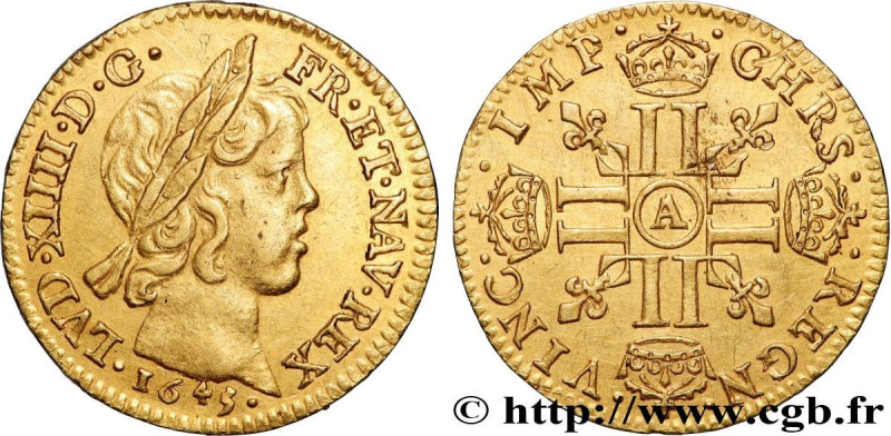 LOUIS XIV "THE SUN KING"
Type : Demi-louis d'or aux huit L, portrait à la mèche ...