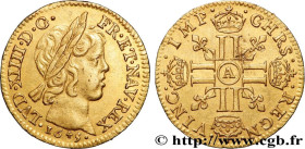 LOUIS XIV "THE SUN KING"
Type : Demi-louis d'or aux huit L, portrait à la mèche courte 
Date : 1645 
Mint name / Town : Paris 
Metal : gold 
Millesima...