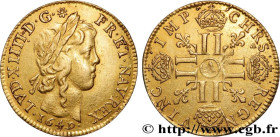 LOUIS XIV "THE SUN KING"
Type : Louis d’or aux huit L, portrait à la mèche longue 
Date : 1649 
Mint name / Town : Paris 
Quantity minted : 320498 
Me...
