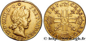 LOUIS XIV "THE SUN KING"
Type : Demi-louis d’or aux huit L, portrait à la mèche longue 
Date : 1649 
Mint name / Town : Paris 
Quantity minted : 7708 ...