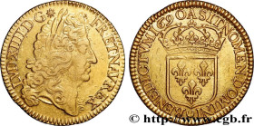 LOUIS XIV "THE SUN KING"
Type : Double louis d'or à l'écu 
Date : 1690  
Mint name / Town : Paris 
Quantity minted : 33652 
Metal : gold 
Millesimal f...