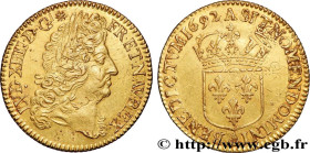 LOUIS XIV "THE SUN KING"
Type : Double louis d'or à l'écu 
Date : 1692 
Mint name / Town : Paris 
Quantity minted : 58293,5 
Metal : gold 
Millesimal ...