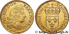 LOUIS XIV "THE SUN KING"
Type : Louis d'or à l'écu 
Date : 1691 
Mint name / Town : Paris 
Metal : gold 
Millesimal fineness : 917  ‰
Diameter : 24,5 ...