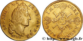 LOUIS XIV "THE SUN KING"
Type : Louis d'or aux quatre L 
Date : 1696 
Mint name / Town : Paris 
Metal : gold 
Millesimal fineness : 917  ‰
Diameter : ...