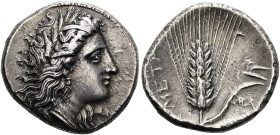 LUKANIEN. METAPONT. Didrachme ø 22mm (7.82g). Circa 330 - 290 v. Chr. Vs.: Kopf der Demeter mit Ährenkranz, Ohrring und Halskette n. r. Unter dem Kinn...