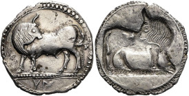 LUKANIEN. SYBARIS. Didrachme ø 28mm (8.53g). 550 - 510 v. Chr. Vs.: Stier mit umgewandtem Kopf auf verzierter Doppelstandlinie n. l., darunter YM, all...