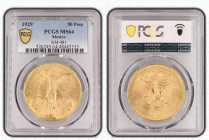 MEXICO Estados Unidos Mexicanos (1821-present) 50 Pesos 1929 gold. Gr. 41,66. KM 481; FR 172. Mintage 458.000. Mexico City Mint. PCGS MS64 (n.48445353...