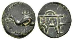 BOSPORAN KINGDOM. Polemo I (ca. 14-9 BC). AE, Dolphin leaping right before upright trident / Monogram of Polemo I.

Condition : Good very fine.

W...