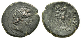 ASIA MINOR. Uncertain. (1st-2nd Ceuntry). Ae.

Obv : Laureate head of Zeus Hellanios right.

Rev : ΔΙΟΣ ΣΩΤΗΡΟΣ.
Eagle standing left on thunderbolt.

...