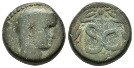 SYRIA. Seleucis and Pieria. Antioch. Tiberius (14-37). As.
Obv : IMP AVGVST TR POT.
Laureate head right.
Rev : Large S C within wreath.

Condition : G...