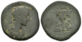 COMMODUS.(177-192).Rome.Sestertius.

Condition : Good very fine.

Weight :25.06 gr
Diameter : 29.86 mm