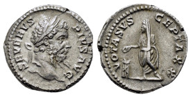 SEPTIMIUS SEVERUS (193-211). Denarius. Rome.
Obv: SEVERVS PIVS AVG.
Laureate head right.
Rev: VOTA SVSCEPTA XX.
Veiled emperor standing facing, head l...