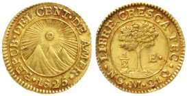Zentralamerikanische Republik
1/2 Escudo 1825 NG M. 1,68 g.
vorzüglich/Stempelglanz, kl. Kratzer, schöne Goldtönung, selten