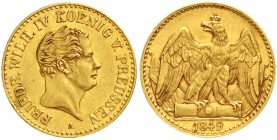Brandenburg-Preussen
Friedrich Wilhelm IV., 1840-1861
1/2 Friedrichs d`or 1849 A, Berlin. 3,35 g.
gutes vorzüglich, selten