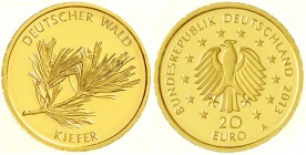 Euro
20 Euro Deutscher Wald Kiefer 2013 A. In Kapsel mit Zertifikat Nr. 000008. 1/8 Unze Gold. Im nicht zugehörigen Etui.
Stempelglanz
Dieses Exemp...